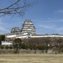 【兵庫県姫路市ご蔵書整理】全集本・文学書・美術書などの買取【2026年】