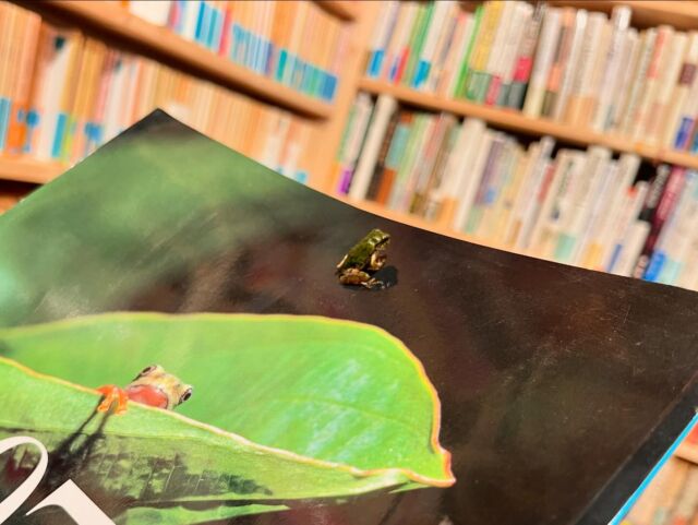 本の買取、ご実家の片付けやご遺品の整理ご相談ください - しば 本の買取、ご実家の片付けやご遺品の整理ご相談ください - しば