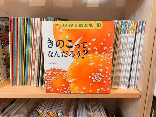 沖縄大百科事典 全４巻 / 沖縄大百科事典刊行事務局 | しばのき文庫－本の買取、ご実家の片付けやご遺品整理ご相談ください